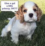 JoannaGoingPotty.webp