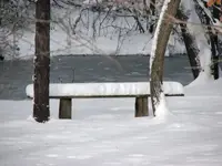 12xZoom to Pond.webp