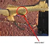 untitled11.webp