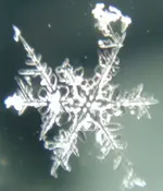DSC02737.webp