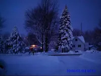 Serenity By Moonlight.webp