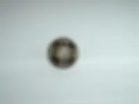brass button.webp