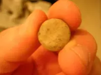 DSCN1184.webp