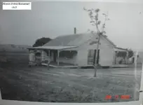 003.webp