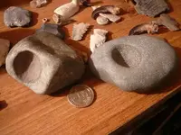 fossils.webp