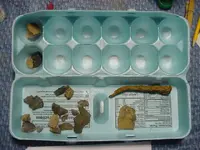 artifacts 030809c.webp