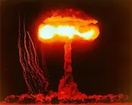 Will mushroom-cloud.webp