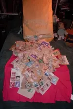 Picture_013.webp