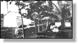 suwarrow2.webp