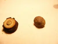 DSCF1803.webp