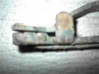 DSC00044.webp