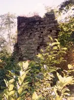 Laquim2.webp
