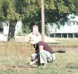 knees5.webp