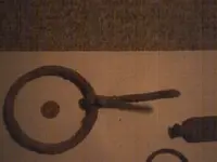 horse tac.webp
