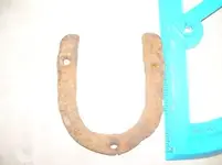 Tiny Horseshoe.webp