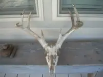8 point.webp