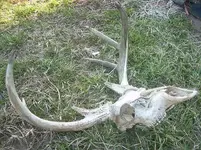 8 pt 1.webp