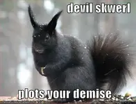 funny-pictures-evil-black-squirrel.webp