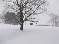 snowday.webp