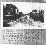 higgjungletrailphotowithcaratsite.gif