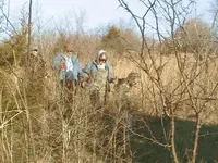 DCAM0020.webp