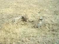 S3013129.webp
