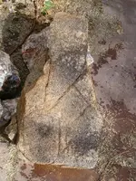 my pictures 002.webp