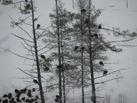 IMG_6776_1_1.webp