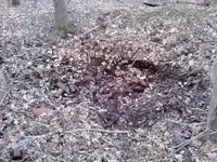 bottle pit.webp