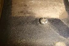 New bolt outside.webp