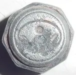 piggnut last one found.webp