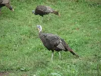 IMG_4359_1_1.webp