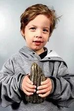 mammoth tooth.webp