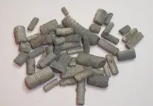 Crinoids 2-25-09.webp