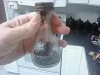 bottle dump4.webp