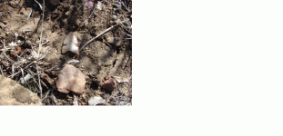 BlkMesaPt1.GIF