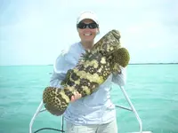 Grouper.webp