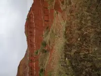 texas.webp