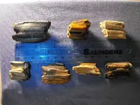 2009_0211River-Finds0008.webp
