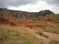 texas4.webp