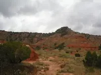 texas 2.webp
