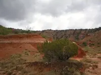 texas 3.webp