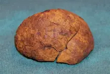 Italian dinner roll.webp