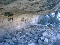 01010017.webp