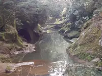 ki ko hike spring 07 104.webp
