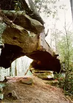 princess arch.webp