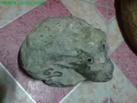 DSC00187.webp