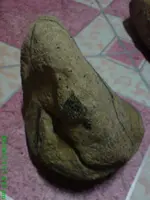DSC00189.webp