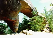 skybridge.webp