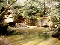 swift camp creek 19.webp